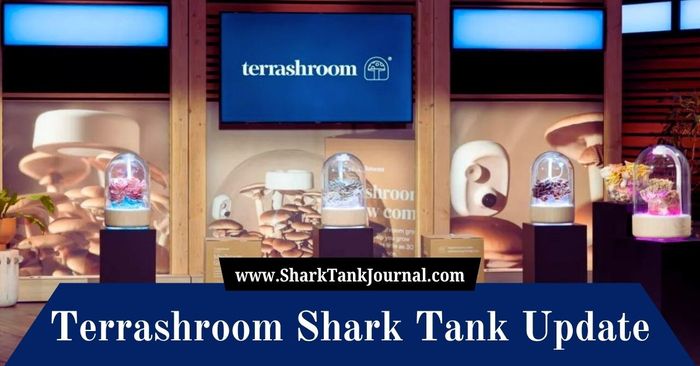 terrashroom shark tank update